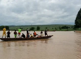 Dozens die after boat hits tree stump in Nigeria